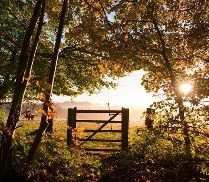 Escape to the Cotswolds Escape to the Cotswolds