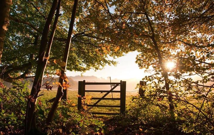 Escape to the Cotswolds Escape to the Cotswolds